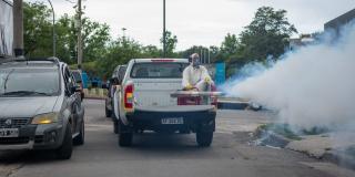 Alerta del Conicet: Las fumigaciones generan mosquitos resistentes al veneno 