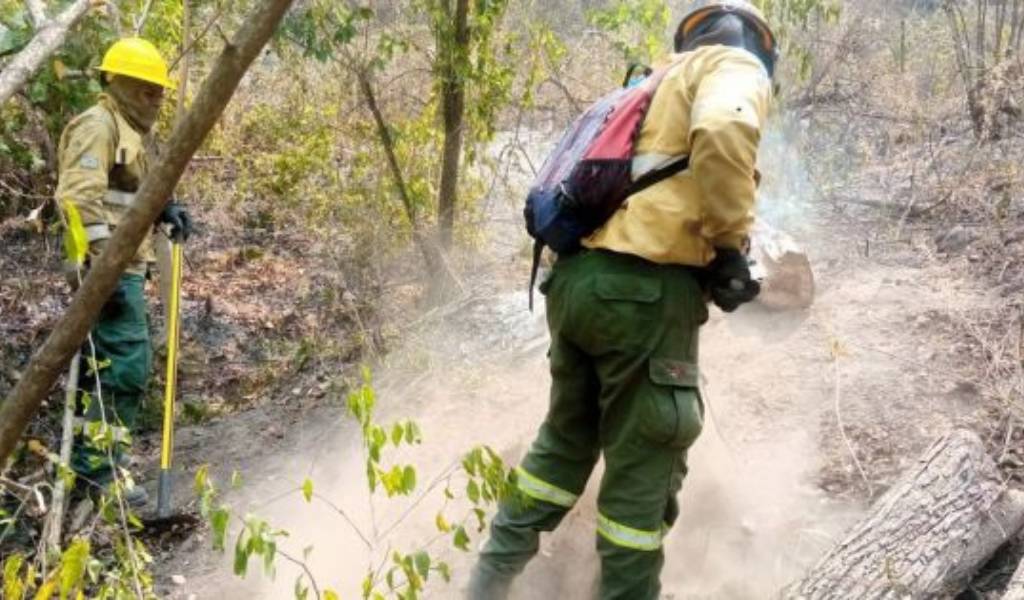 Bomberos y brigadistas luchan sin descanso contra los incendios forestales en el norte de Salta