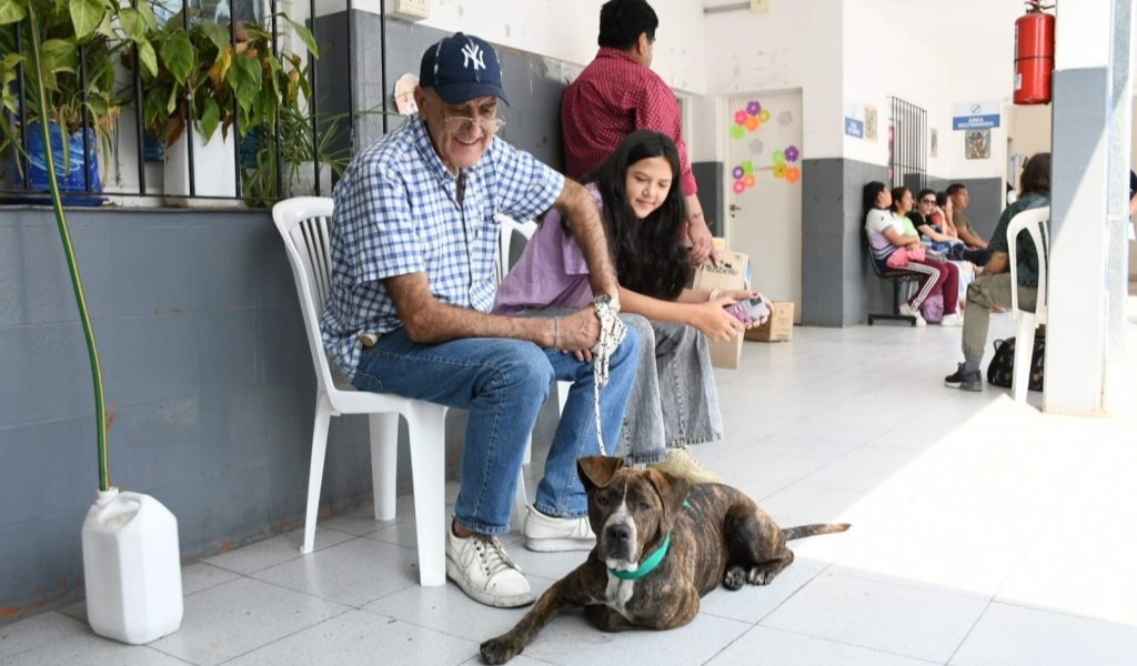 Conocé los servicios que brinda el hospital municipal de Salud Animal