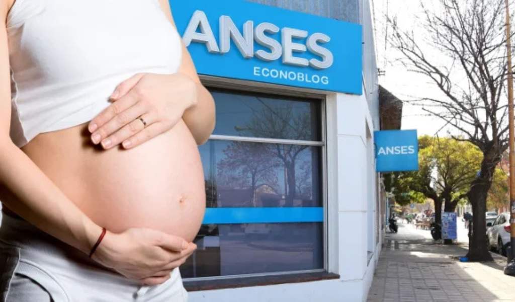 Anses detectó que se pagaba la asignación a falsas embarazadas, había certificados truchos y médicos cómplices.