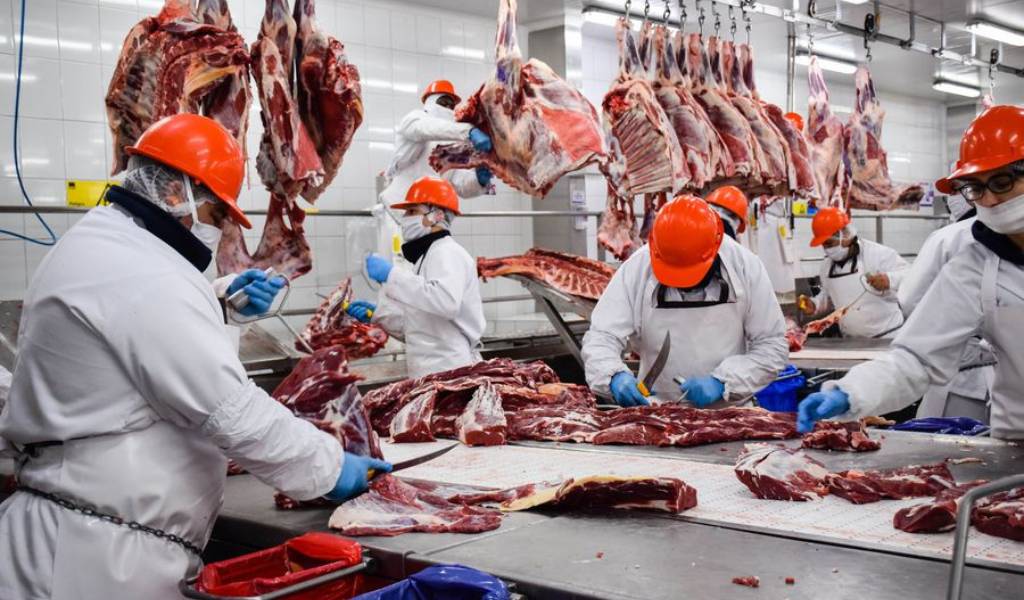 Las exportaciones de carne alcanzaron el volumen más alto en 5 décadas pero el consumo interno sigue cayendo