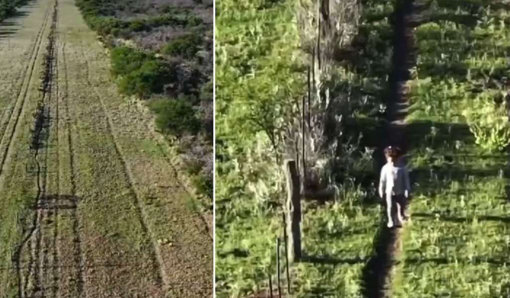 La Pampa: encontraron con un drone a una nena que estuvo 5 horas perdida en un campo con animales salvajes