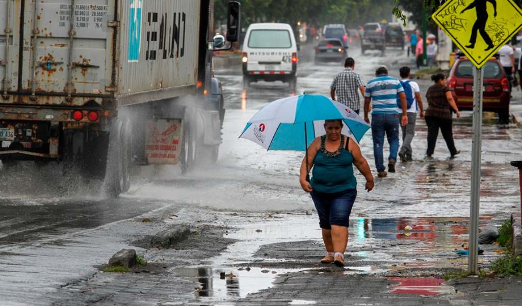 La lluvia registrada en Salta en lo que va de noviembre es la segunda más importante en los últimos 40 años