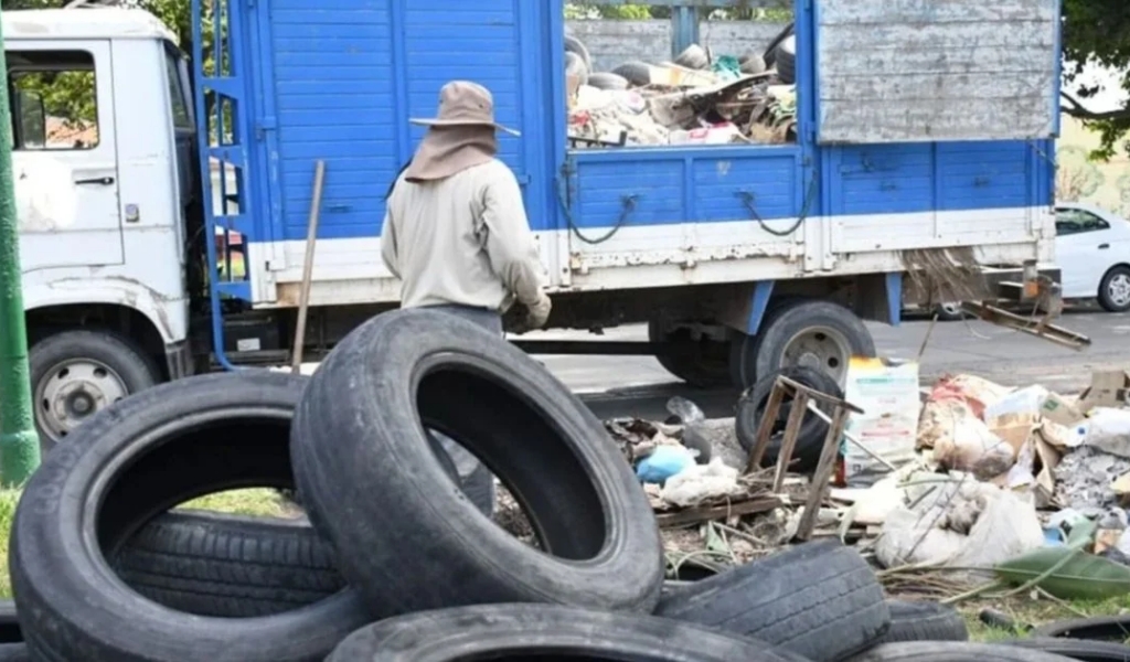 El municipio de Salta erradicó más de 44.000 microbasurales en 2024