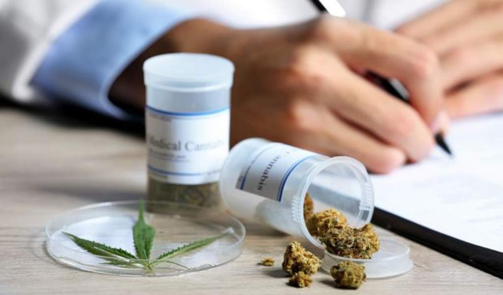 El Gobierno Nacional revocará los permisos de marihuana medicinal: “Vamos a empezar de cero”