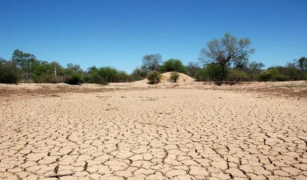 El campo salteño en problemas: Por las pocas lluvias se están perdiendo plantaciones