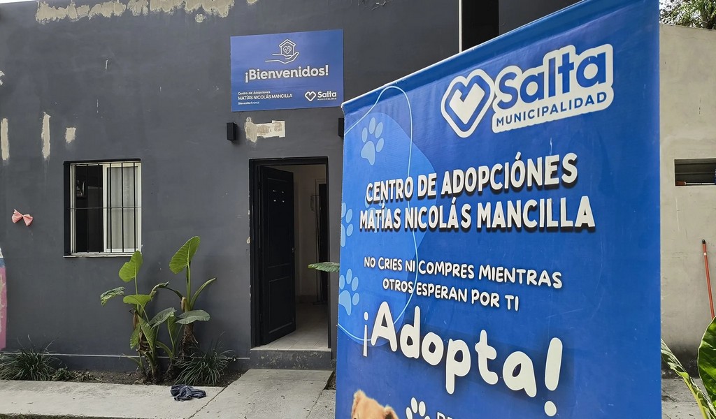 Recuerde que darán cobertura veterinaria gratis para perritos que sean adoptados en Salta