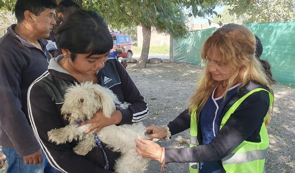 Conoce los puestos de vacunación antirrábica de esta semana