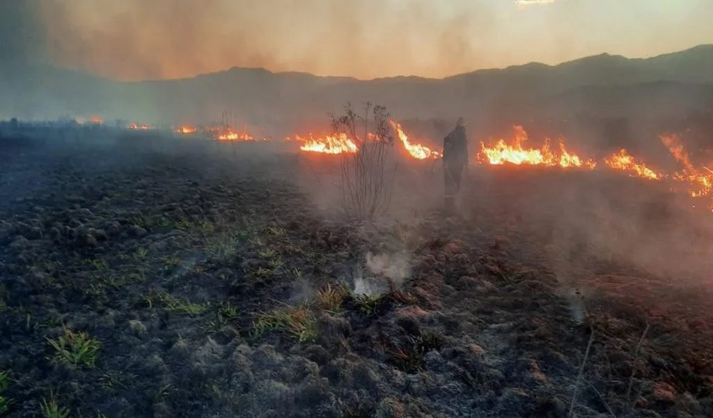 Los incendios forestales en Salta dejaron la triste cifra de 21.000 hectáreas quemadas