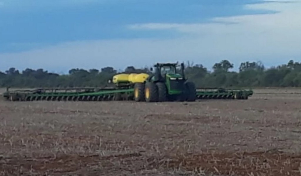 Por el clima, plagas y caída de precios el agro de Salta tuvo un mal año