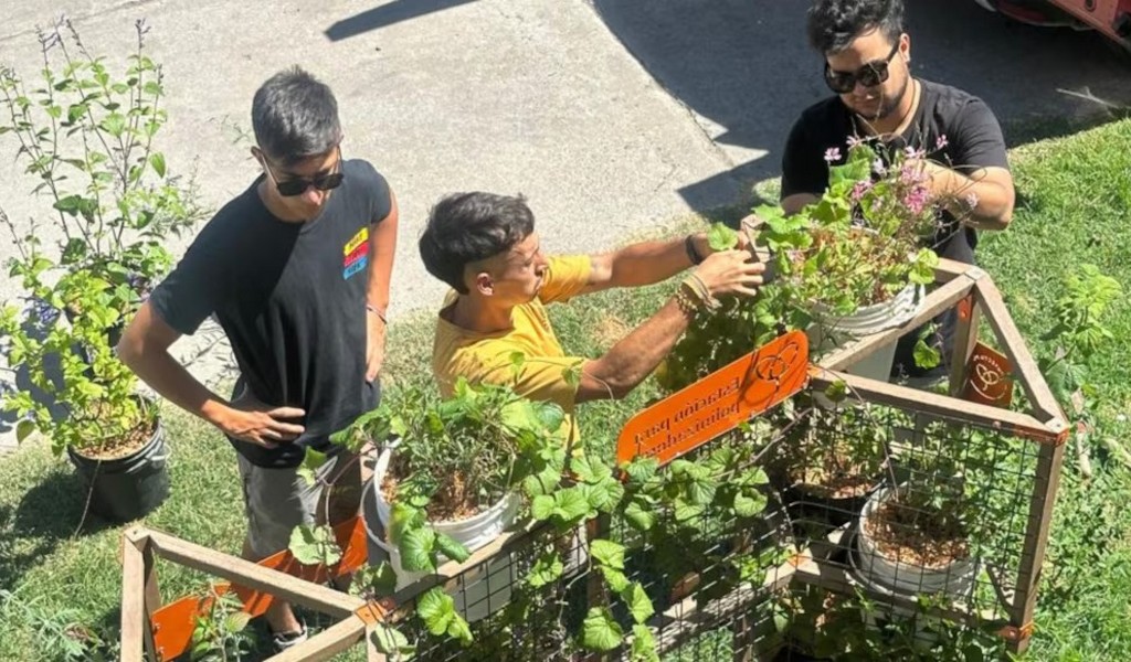 Alumnos de la Universidad Católica de Salta transforman espacios urbanos en áreas para abejas, mariposas y colibríes