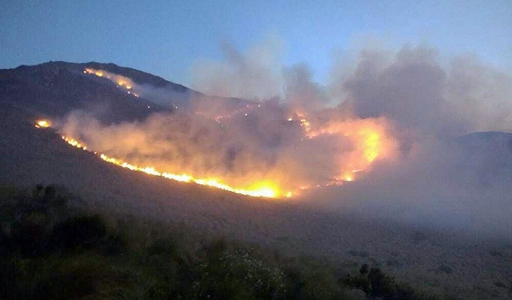 Los incendios forestales no dan tregua. Son miles las hectáreas consumidas por el fuego