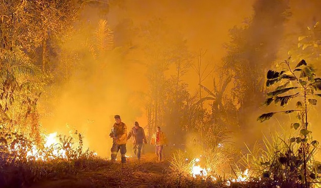 Bolivia sufre el peor desastre ambiental de su historia: casi 10 millones de hectáreas arrasadas por incendios