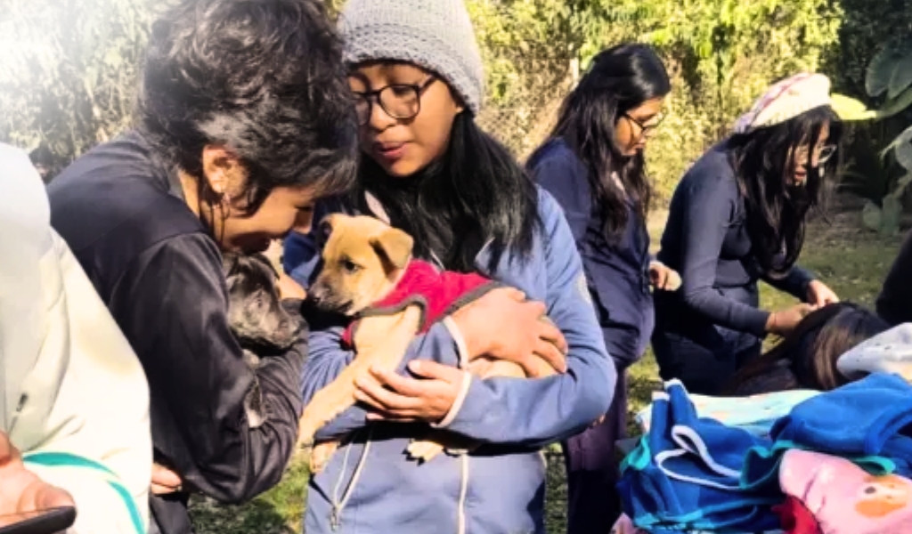 Manos a la obra por nuestros amigos peludos: Estudiantes salteños promueven el bienestar de los animales