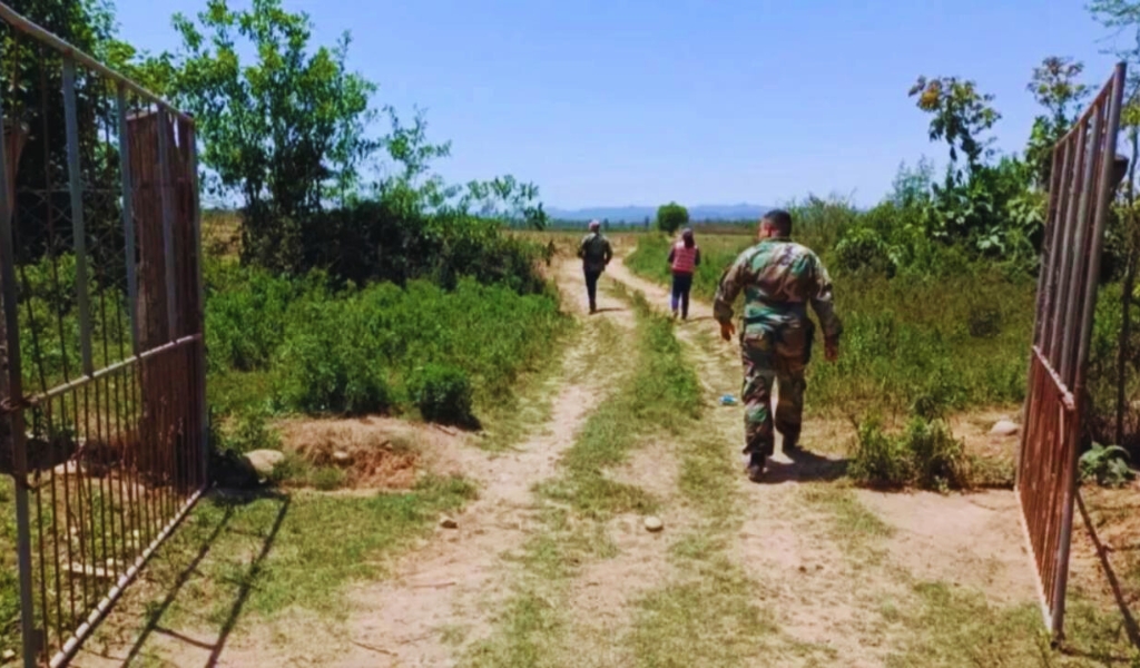 Denuncian que cañeros bolivianos usurpan tierras salteñas hace 30 años