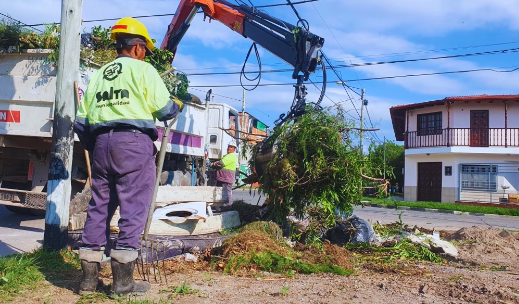 ¡Chau, microbasurales! La Muni eliminó más de 44 mil en 2024 