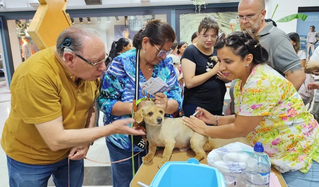 En el shopping Alto Noa se podrán adoptar perritos que se encuentran alojados en el Centro Matías Nicolás Mansilla