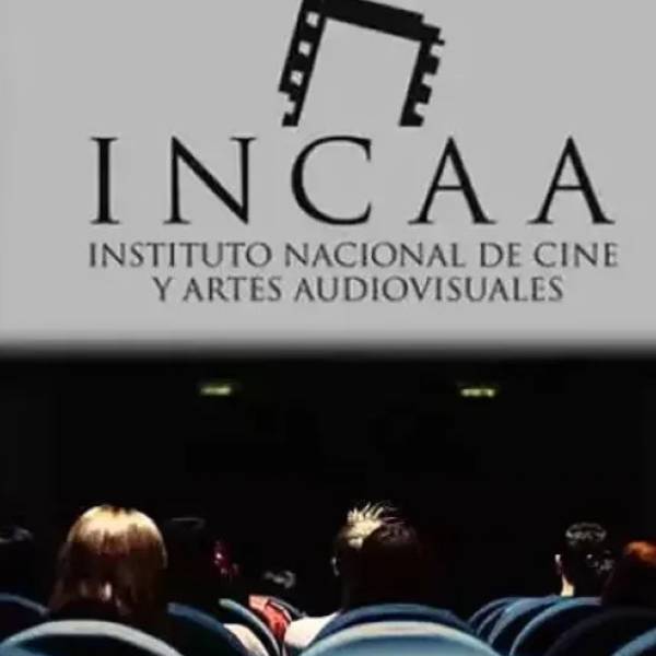 Milei elimina los subsidios al cine y acusa a la industria de 