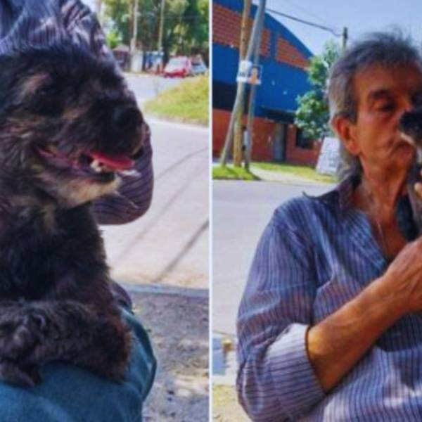 Abuelo salteño llora la pérdida de su fiel compañero: Un robo que desgarra el alma