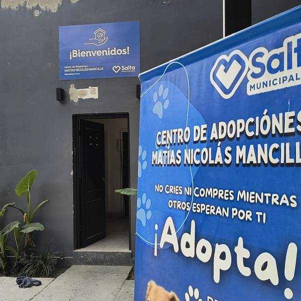 Recuerde que darán cobertura veterinaria gratis para perritos que sean adoptados en Salta