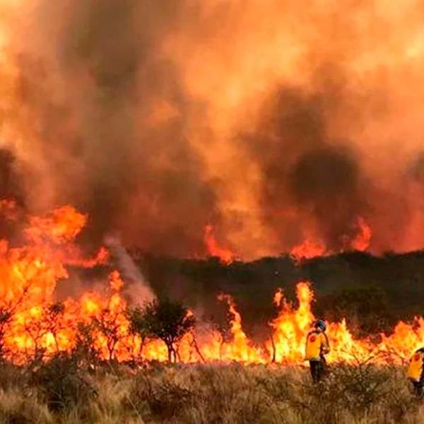 Córdoba arrasada por el fuego: focos activos, evacuados y un detenido