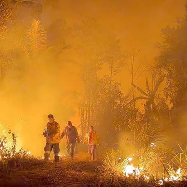 Bolivia sufre el peor desastre ambiental de su historia: casi 10 millones de hectáreas arrasadas por incendios