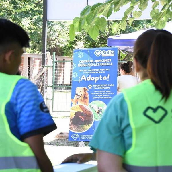 El Centro de Adopciones del municipio de Salta cumplió 8 años y renovó su compromiso como el primer día