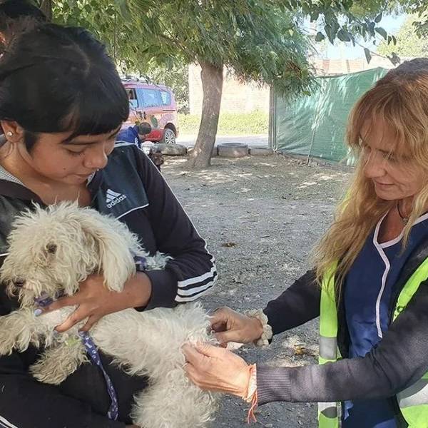 Conoce los puestos de vacunación antirrábica de esta semana