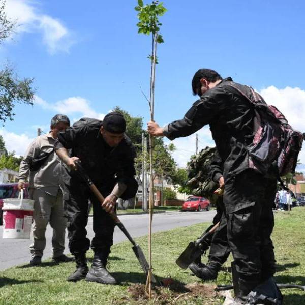 La Muni junto a alumnos de la escuela Buenos Aires  reforestaron la avenida Tavella