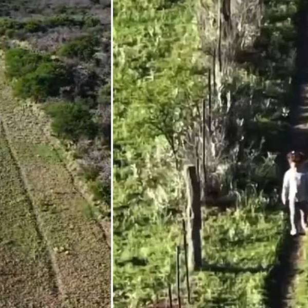 La Pampa: encontraron con un drone a una nena que estuvo 5 horas perdida en un campo con animales salvajes