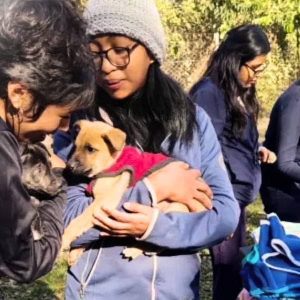 Manos a la obra por nuestros amigos peludos: Estudiantes salteños promueven el bienestar de los animales