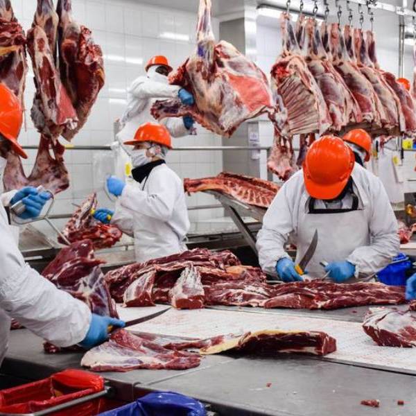 Las exportaciones de carne alcanzaron el volumen más alto en 5 décadas pero el consumo interno sigue cayendo