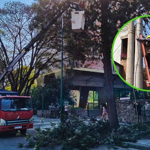 Se retiraron 35 mil metros de cables en desuso desde el inicio de la gestión