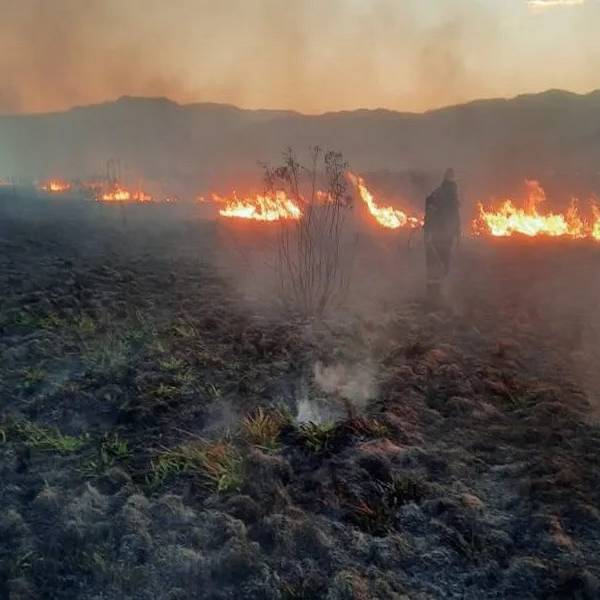 Los incendios forestales en Salta dejaron la triste cifra de 21.000 hectáreas quemadas