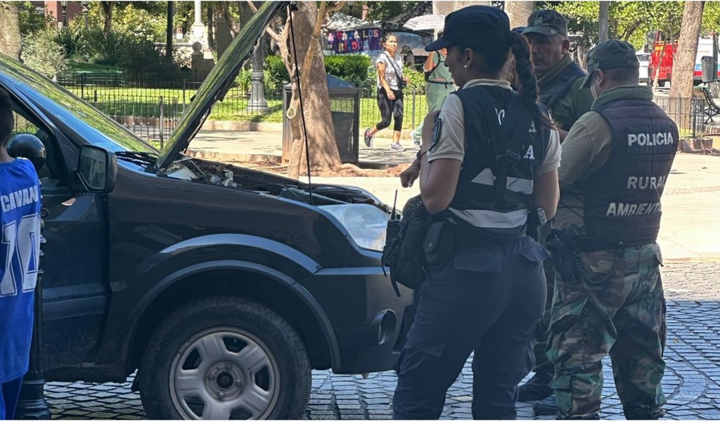 Increíble:  Encuentran una yarará en un auto que se descompuso en plaza 9 julio