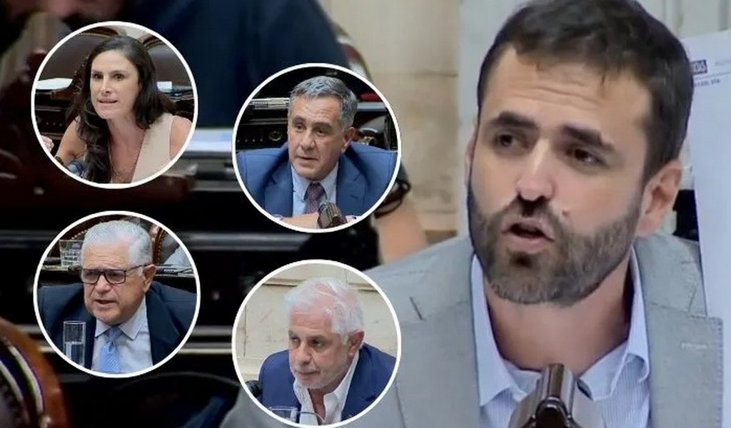 Diputados de diferentes bloques nacionales repudiaron a su par Emiliano Estrada por promover fake news