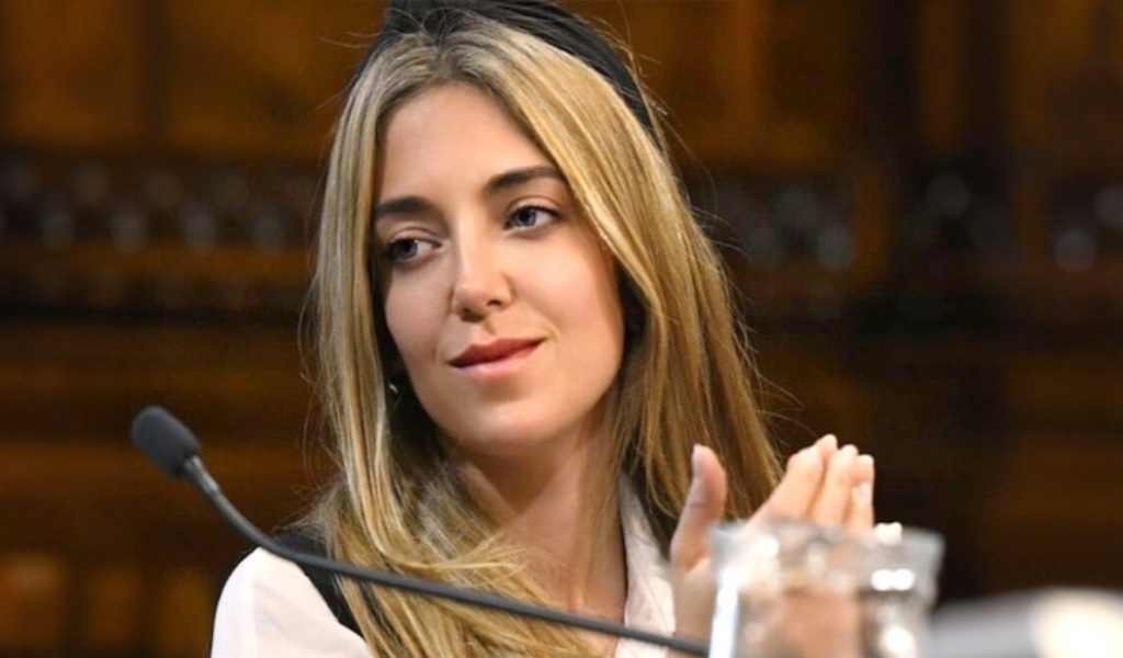 Una funcionaria de Economía involucrada en el escándalo de ANDIS renunció: La Justicia encontró USD 700 mil en su casa