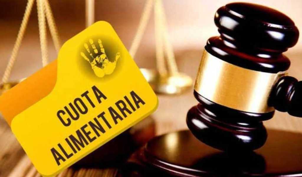 Por no pagar la cuota alimentaria hace 5 años un salteño no podrá salir del país y hasta le quitaron la licencia de conducir