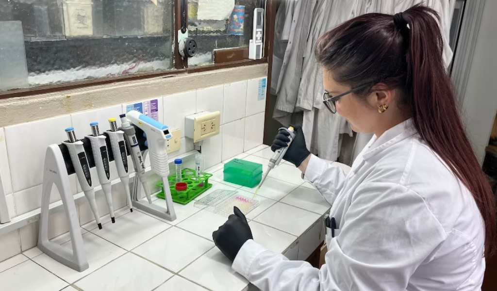 Motosierra: El CONICET sigue sufriendo recortes de fondos, reducción de becarios y menos investigaciones