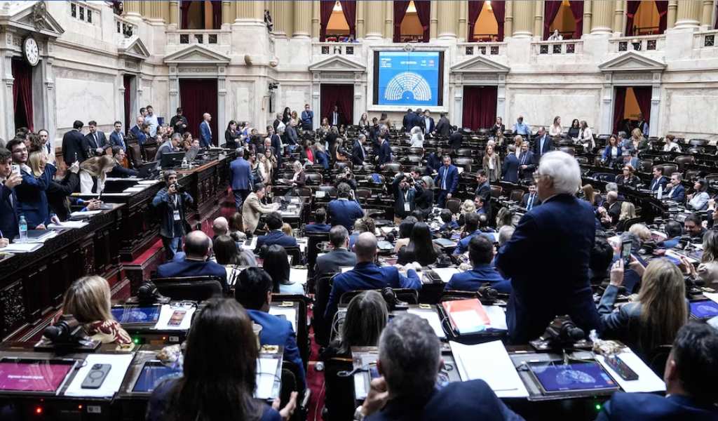 La oposición logró imponer sus propuestas en la nueva Ley de Discapacidad aprobada por Diputados