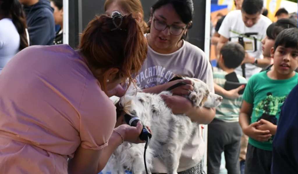 Plaza España Con nuevas adopciones y múltiples servicios se vivió una nueva jornada de Muni Animal