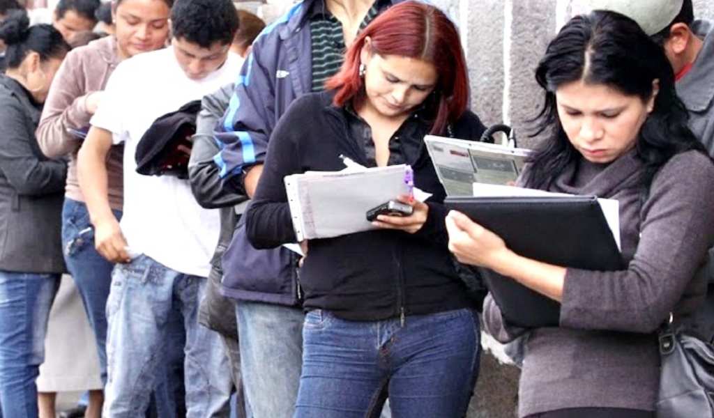 informe de CEPA: Durante la gestión de Milei en Salta se perdieron 14.595 empleos registrados y 672 empleadores