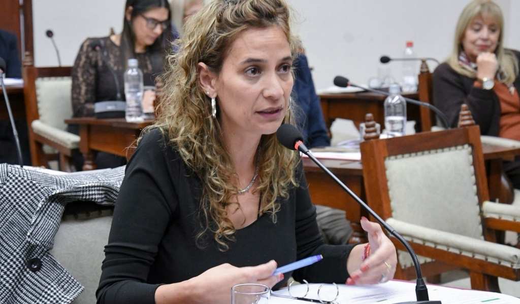 Camila Lobo: “Hasta ahora no vi una sola escuela, obras o viviendas hechas por Nación en la ciudad de Salta” 