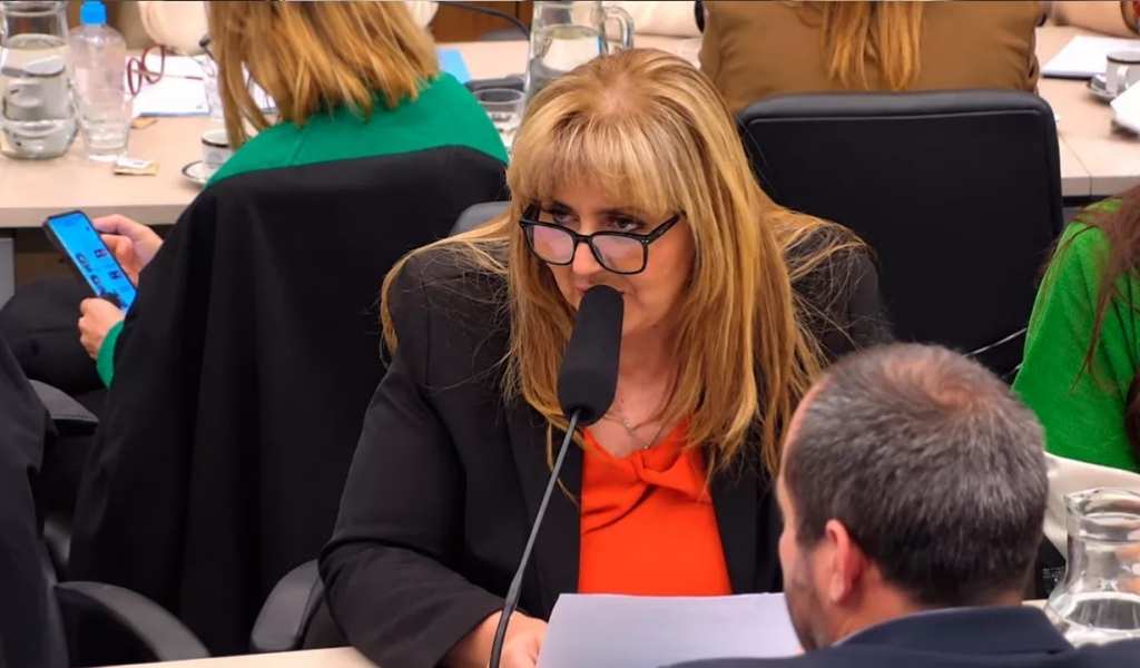 Una funcionaria salteña acusó a diputados de la Libertad Avanza de burlarse de los discapacitados