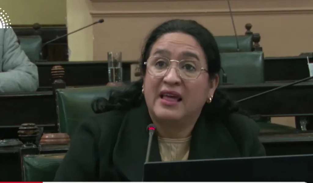Diputada de Orán calificó como “un crimen ambiental” lo que sucede con la pérdidas del pozo petrolero en Pichanal