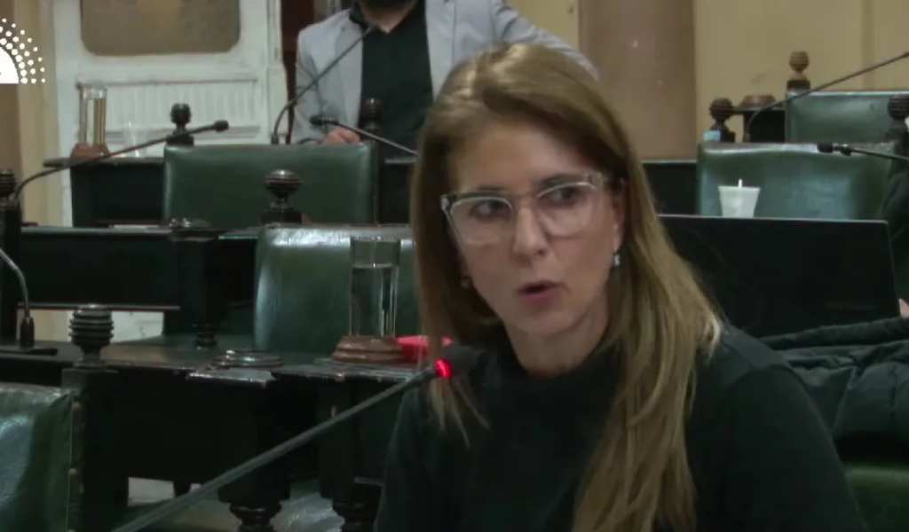 La diputada Villamayor calificó al hijo de Juan Carlos Romero como: "misógino, demagogo y hasta cobarde”