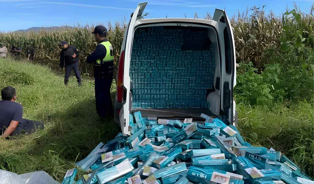 La Justicia Federal de Salta desarticuló una mega red de contrabando de cigarrillos en el Operativo "Oro Verde"