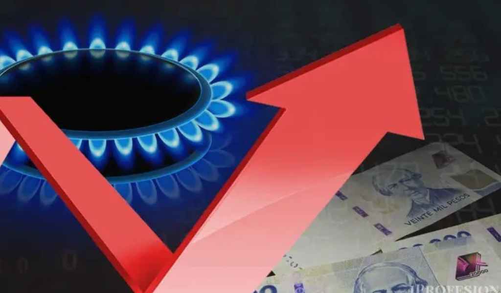 Crisis del gas: el Gobierno nacional afirmó que “no tiene sentido subsidiar industrias. El precio es el que es"