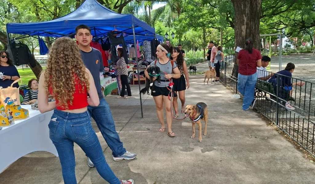 Tu nuevo mejor amigo te espera este viernes en el barrio Miguel Ortíz: La Municipalidad realizará este viernes 6 una nueva jornada de adopción