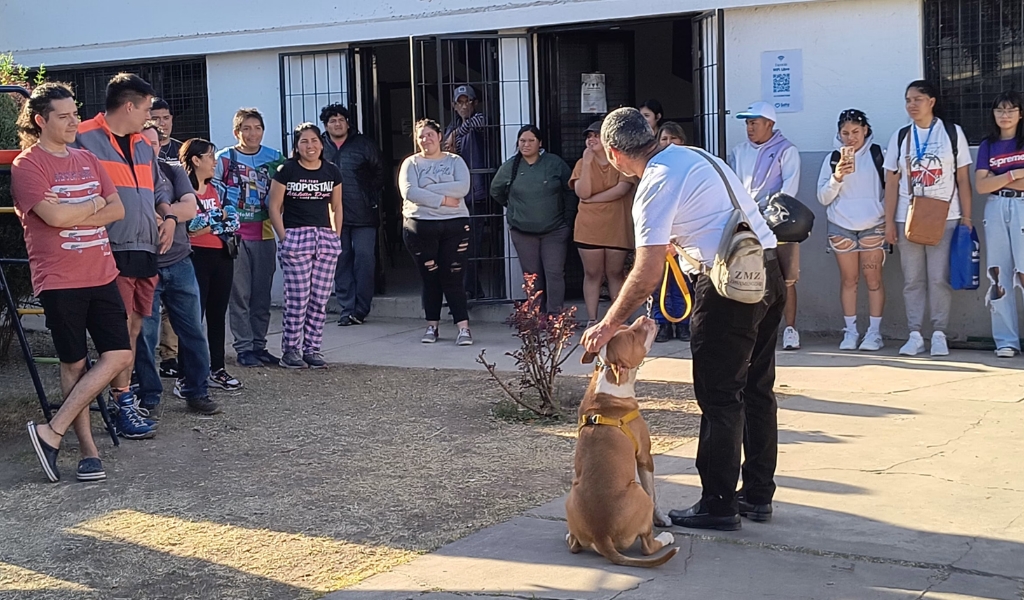 Organizado por la Municipalidad de Salta se viene un taller práctico para prevenir ataques de perros potencialmente peligrosos